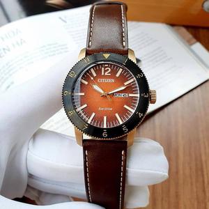 Citizen AW0076-03X Vintage Brycen Watch 
