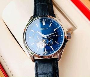 Đồng Hồ Nam Citizen NP1010-01L